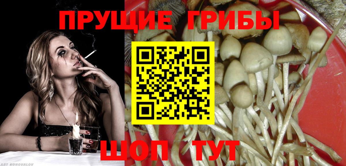 Псилоцибиновые грибы мухоморы Скопин