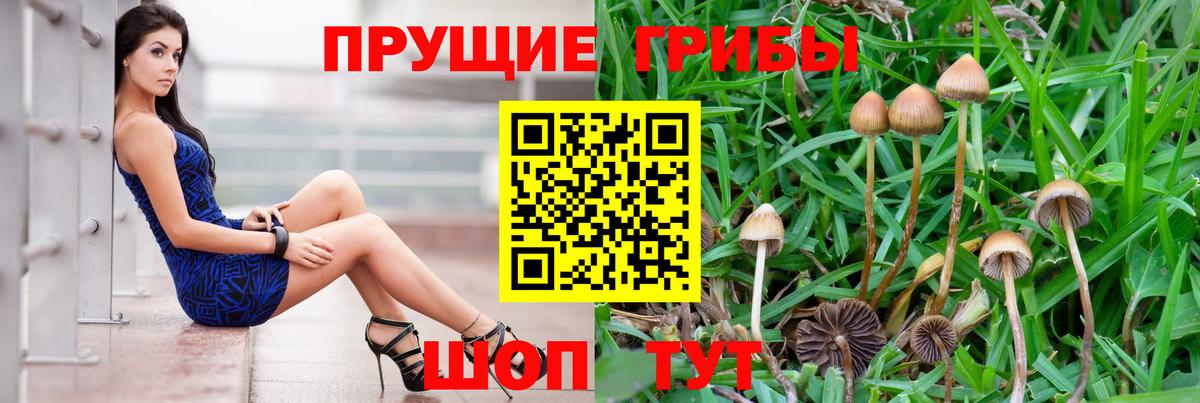 Скопин  магазин продажи наркотиков  Галлюциногенные грибы Psilocybe  Вход с VPN  Псилоцибиновые грибы мухоморы 